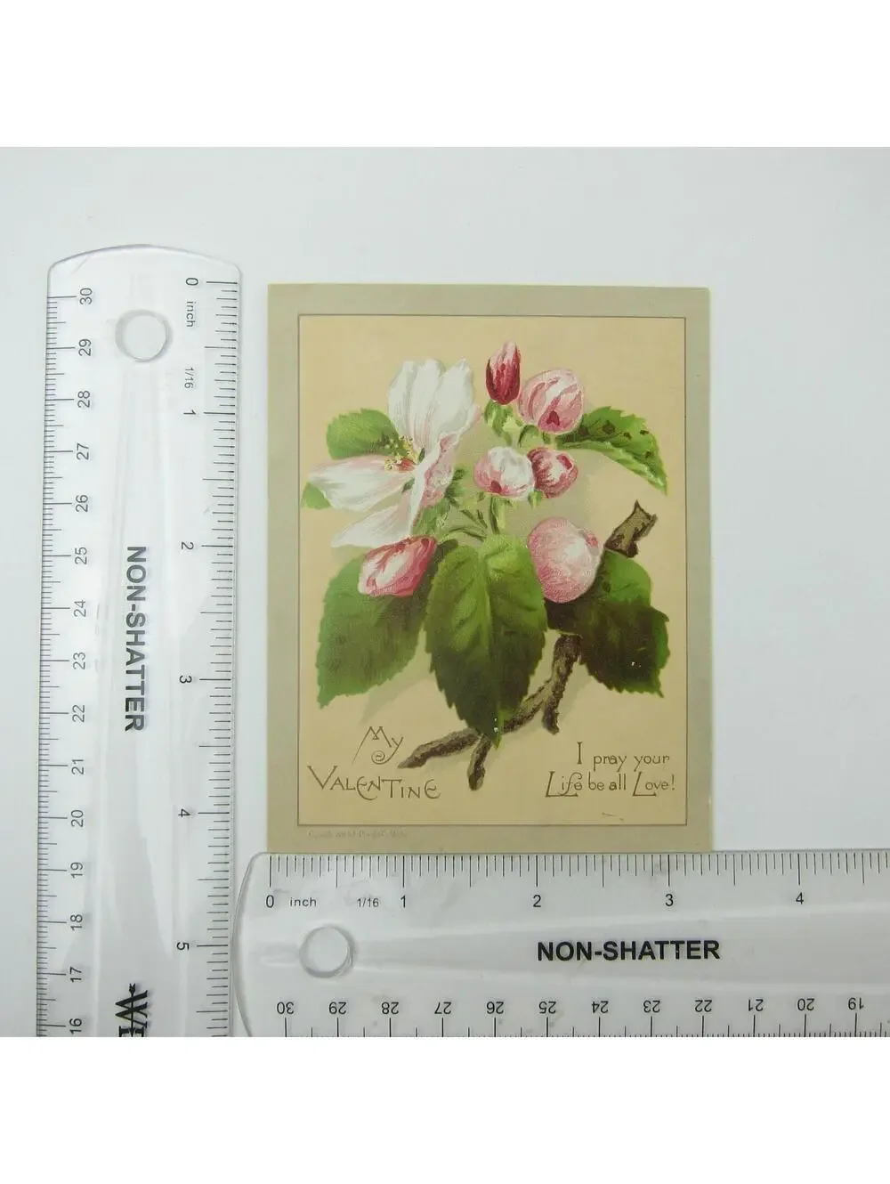 Victorian Greeting Card Valentine Pink White Apple Blossom Flowers Antique 1884